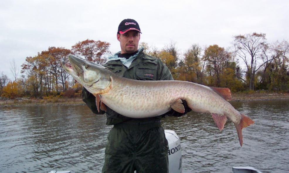 World Record Muskellunge